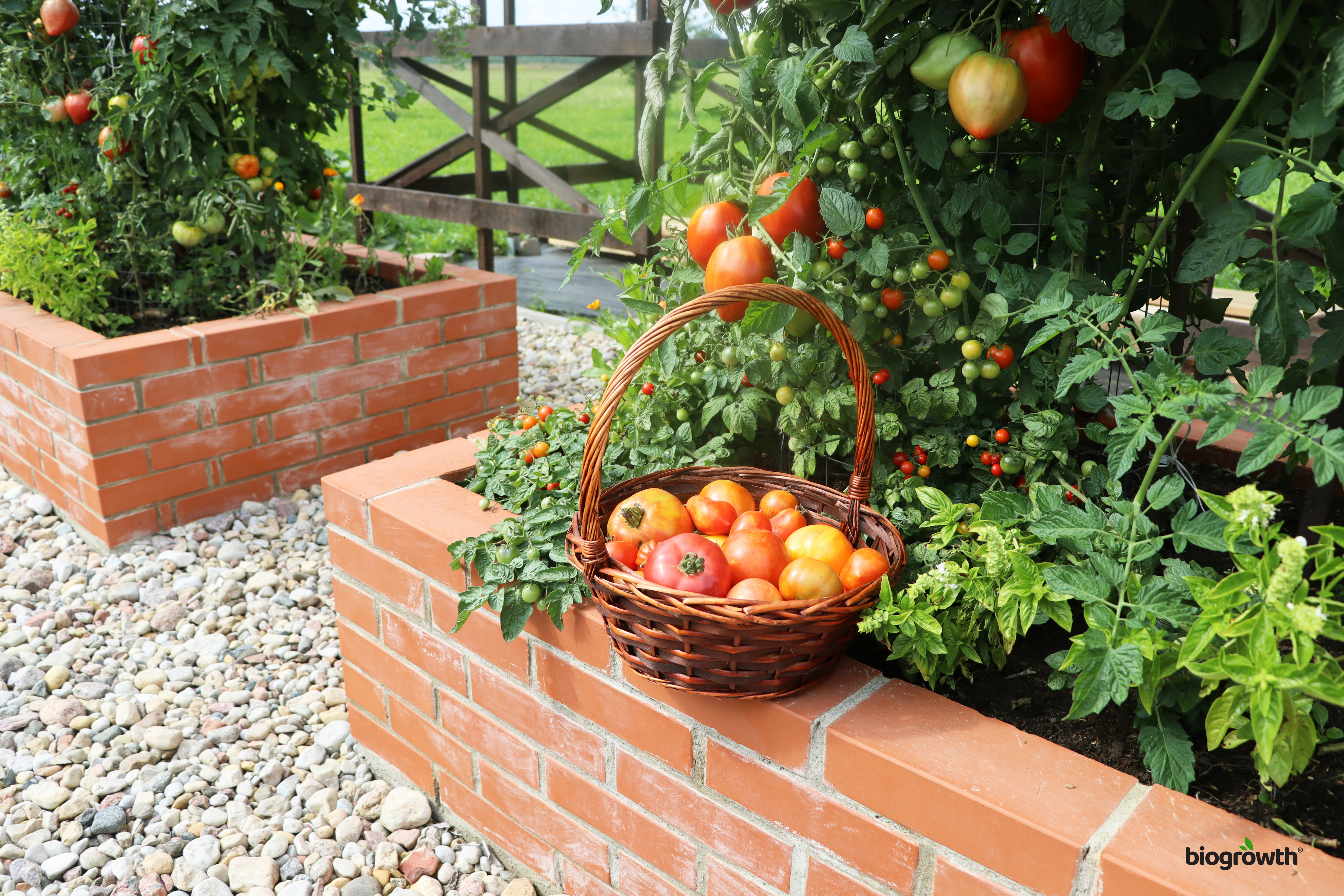 Where to Place a Raised Garden Bed: 7 Essential Tips for the Perfect Location