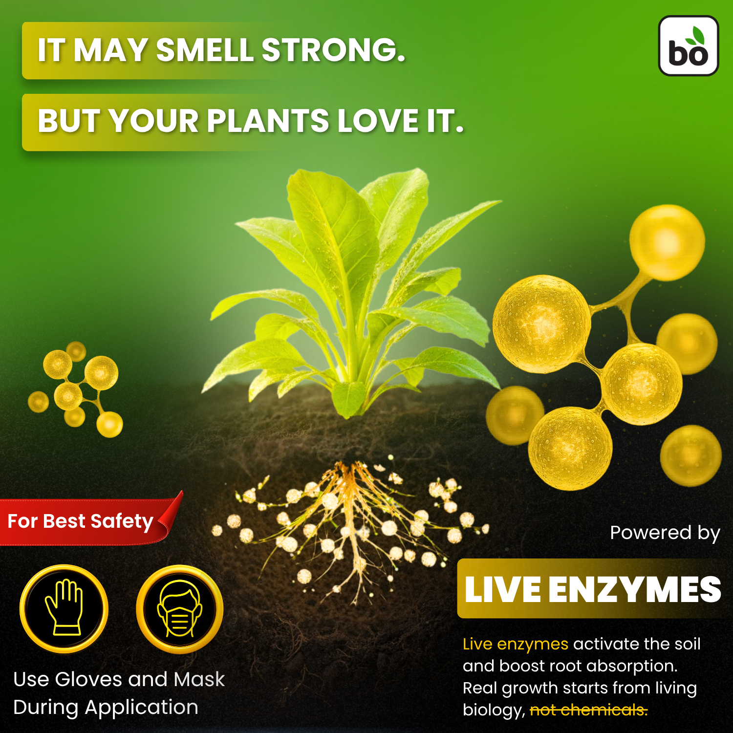 Catalyst Liquid Organic Plant Vitamin for Veggies & Fruits