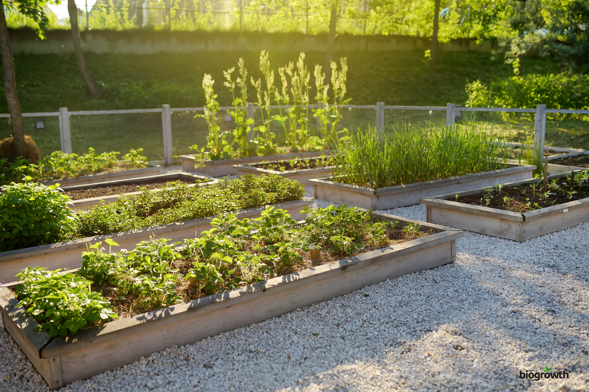 The Best Soil Mix for Raised Bed Gardens: DIY Recipes & Tips ...