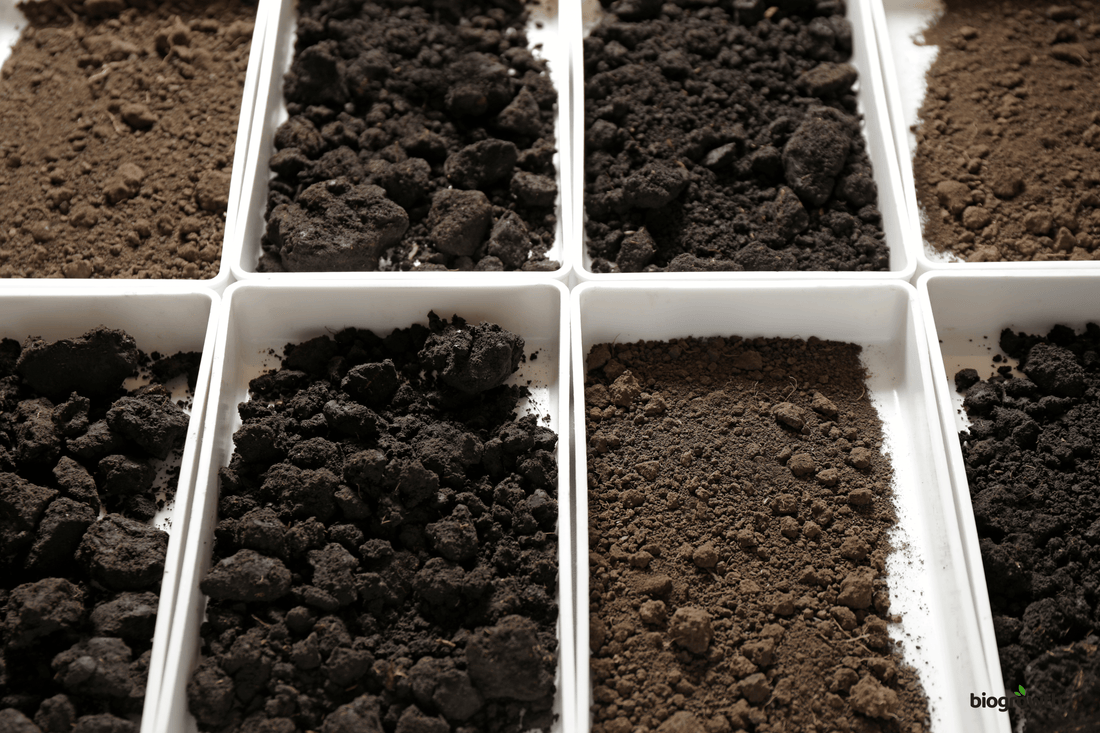 Container Soil vs. Ground Gardens: How to Prep Your Soil for Maximum Growth