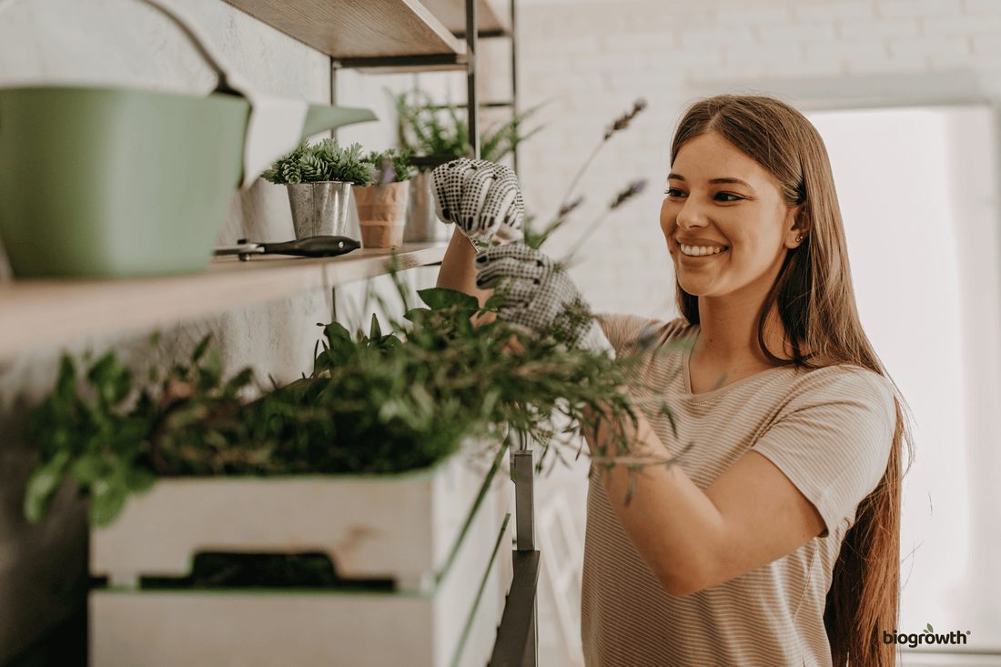 How to Start Indoor Gardening: A Beginner’s Guide to Growing Plants at Home