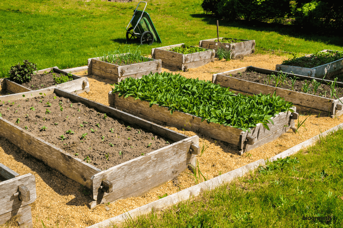 How to Start a Raised Bed Garden: The Natural Way to Healthier & Happier Plants
