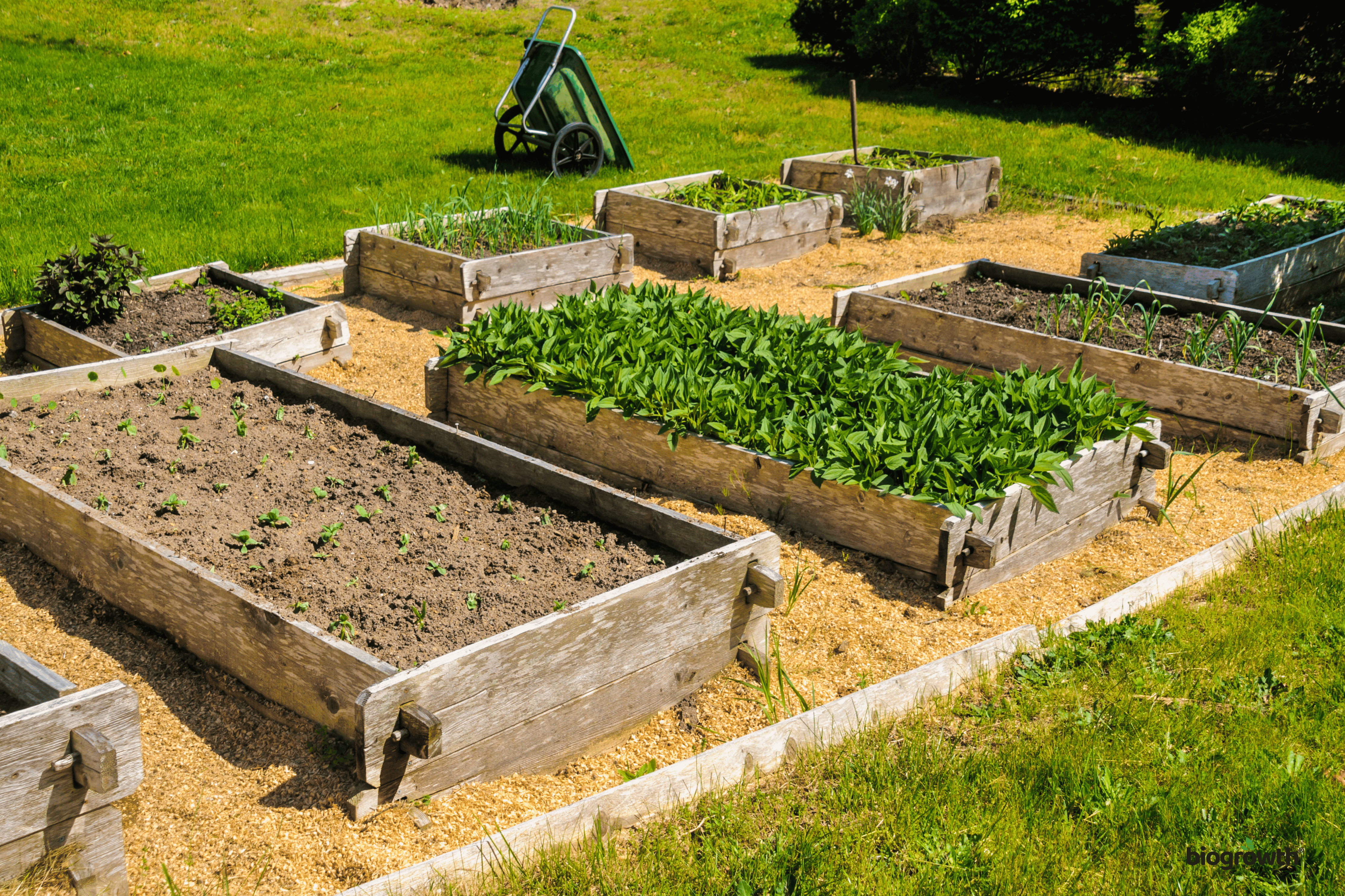 How to Start a Raised Bed Garden: The Natural Way to Healthier & Happier Plants