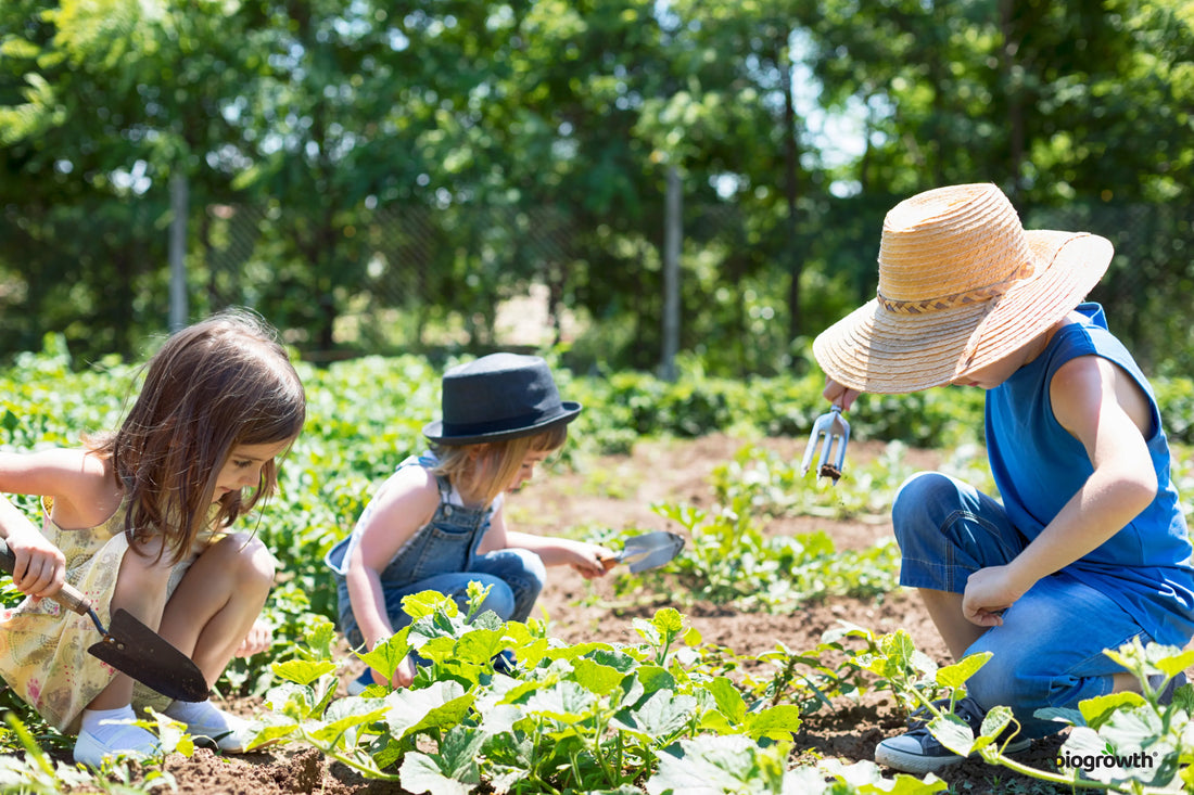 Organic Gardening on a Budget: 10 Smart Tips for Beginners