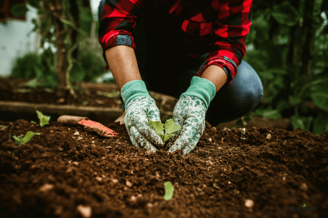 Organic Soil Preparation: How to Go Chemical-Free in Your Garden