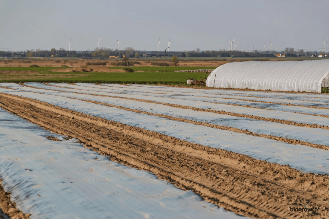 Soil Solarization: The Ultimate Chemical-Free Way to Kill Garden Weeds and Pests