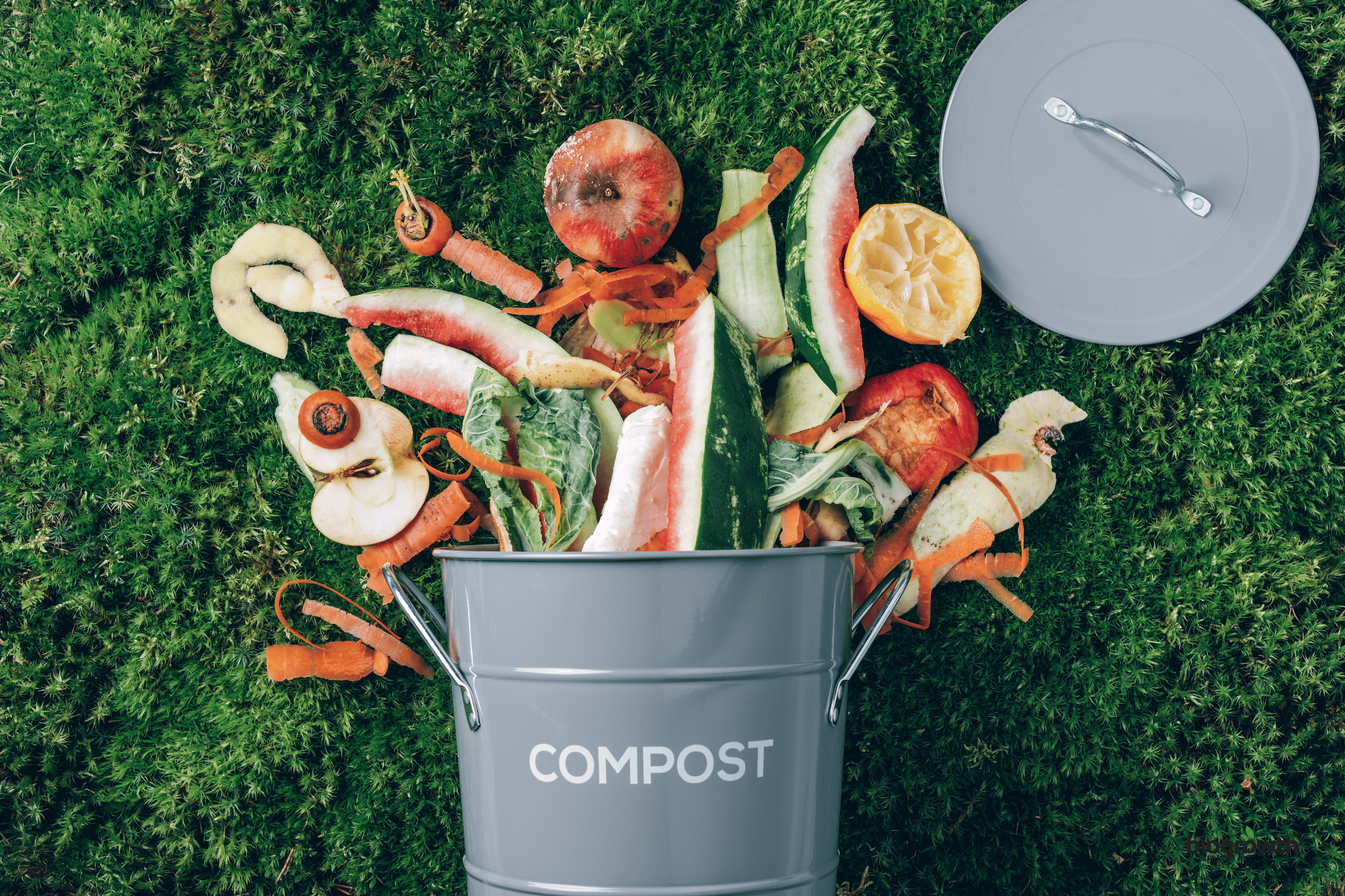 The Power of Composting: Transform Kitchen & Garden Waste into Garden Gold