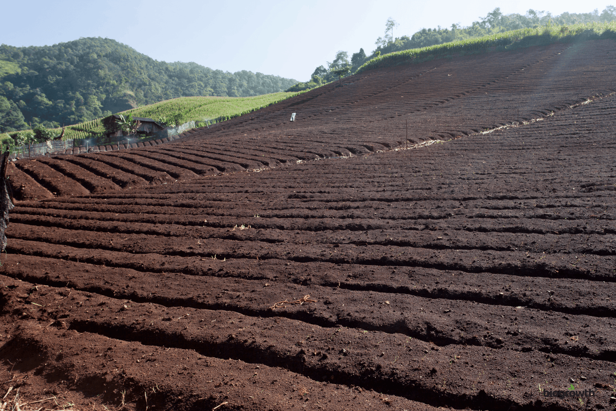 How to Prepare Soil for a Garden: A Beginner’s Guide | Biogrowth Organics