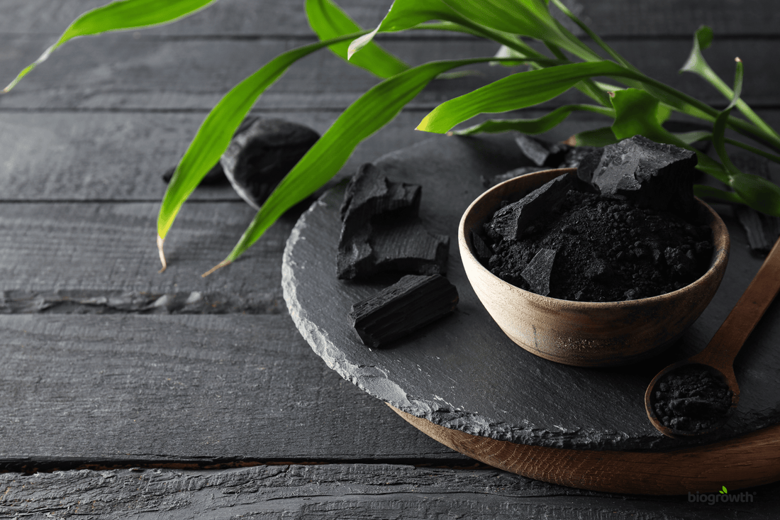 The Ultimate Guide to Biochar: What It Is and How It Transforms Your Soil