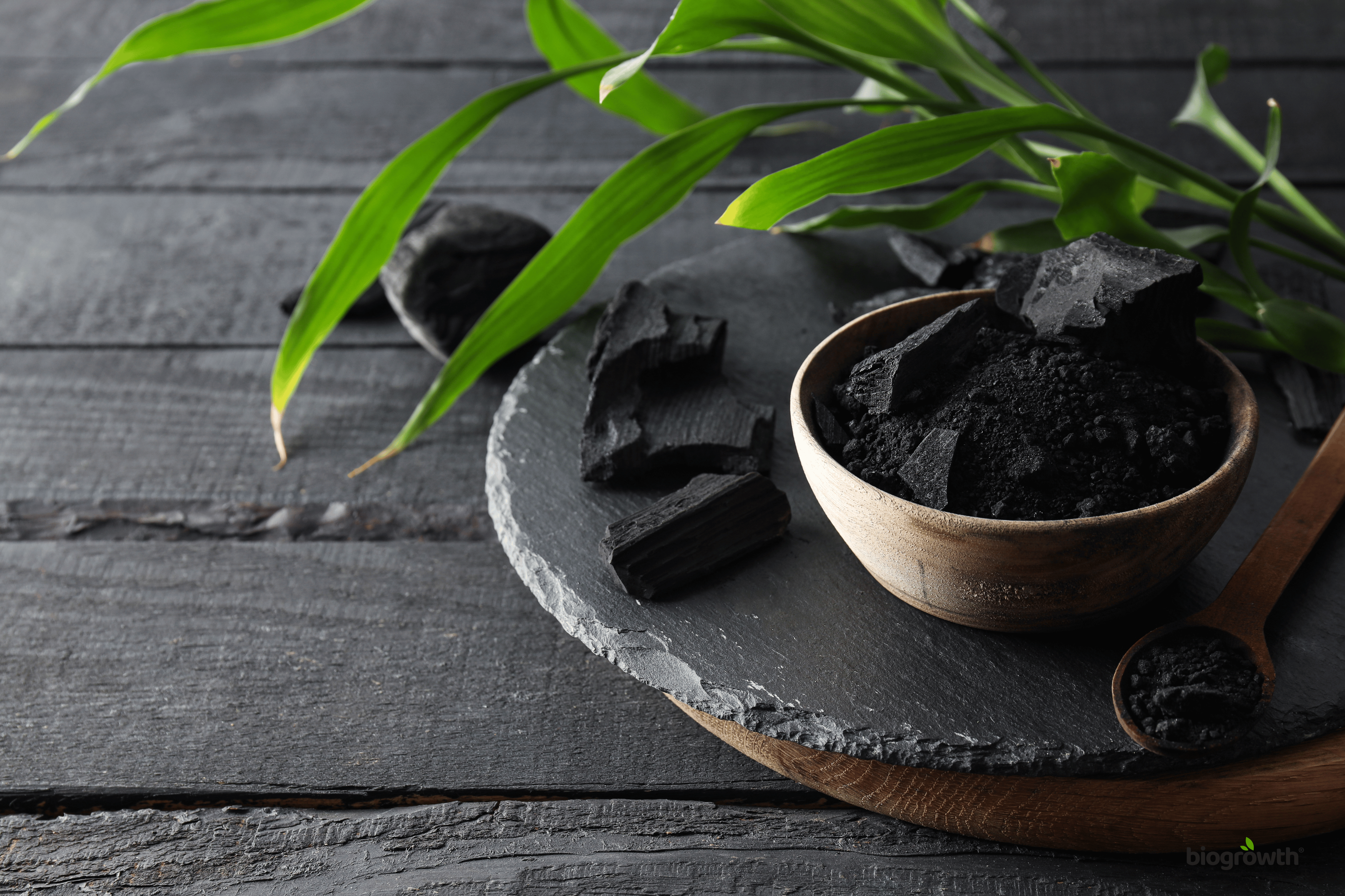 The Ultimate Guide to Biochar: What It Is and How It Transforms Your Soil