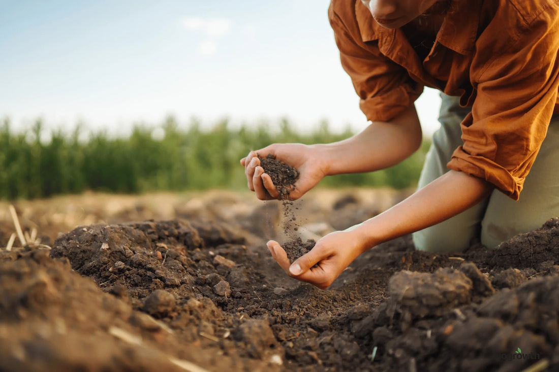 Top 5 Warning Signs Your Soil Needs Help And How to Fix It