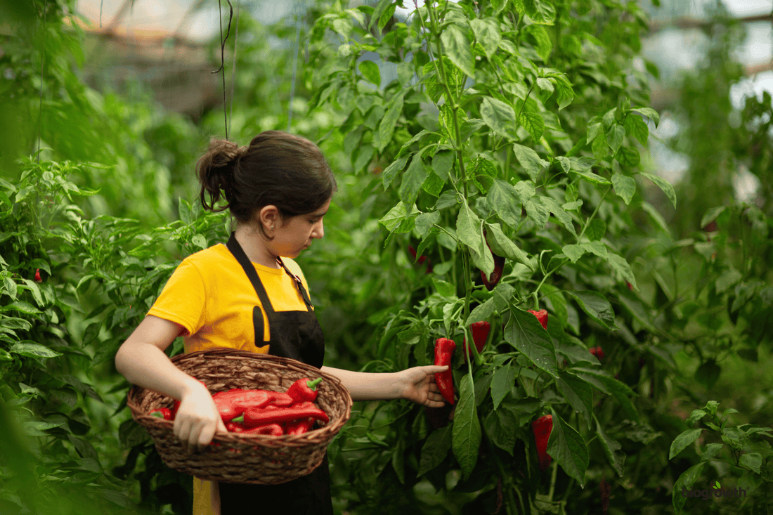What Does Organic Gardening Really Mean? A Complete Guide to Sustainable Soil and Plant Care