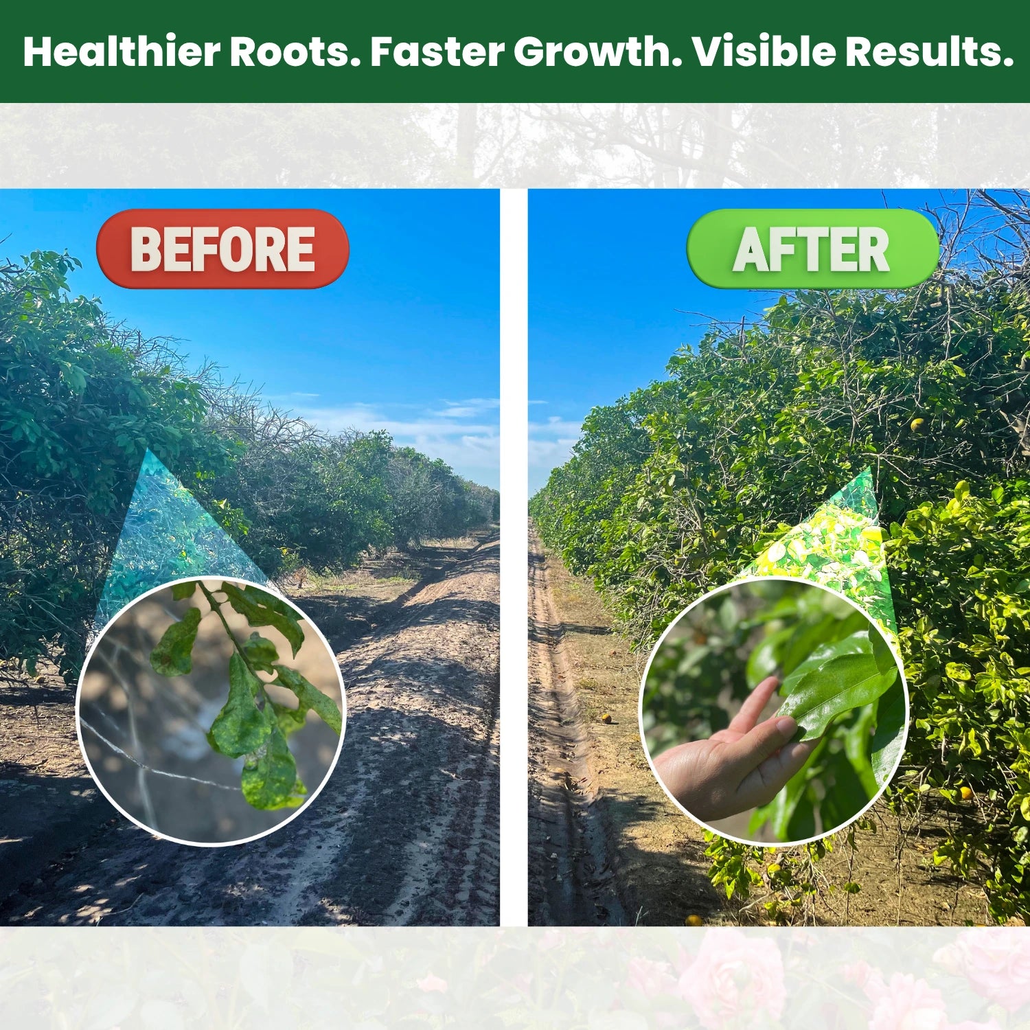 Thrive Liquid Organic Plant Vitamin for Cannabis