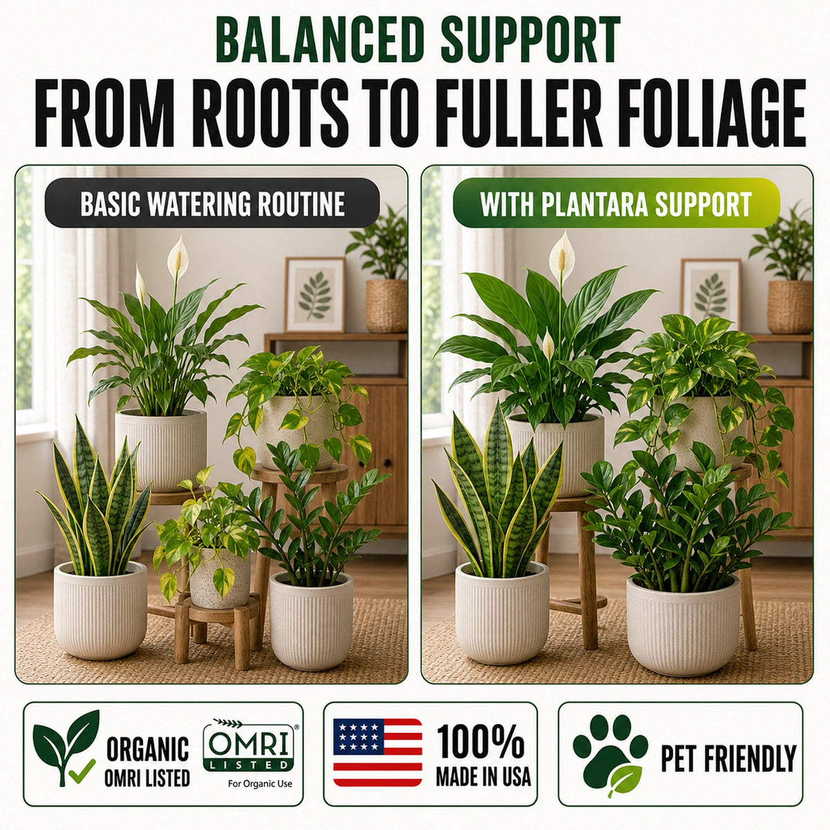 Plantara Liquid Organic Indoor Plant Food & Vitamin for Healthy Roots & Foliage - Biogrowth Organics