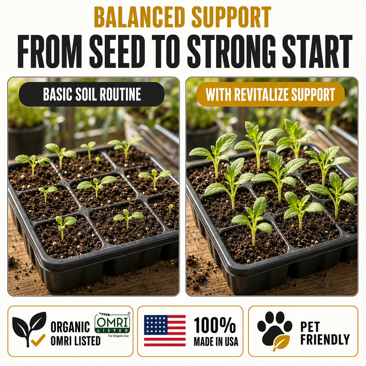 Revitalize Liquid Organic Soil Rejuvenator for Seed Starting & Transplanting - Biogrowth Organics