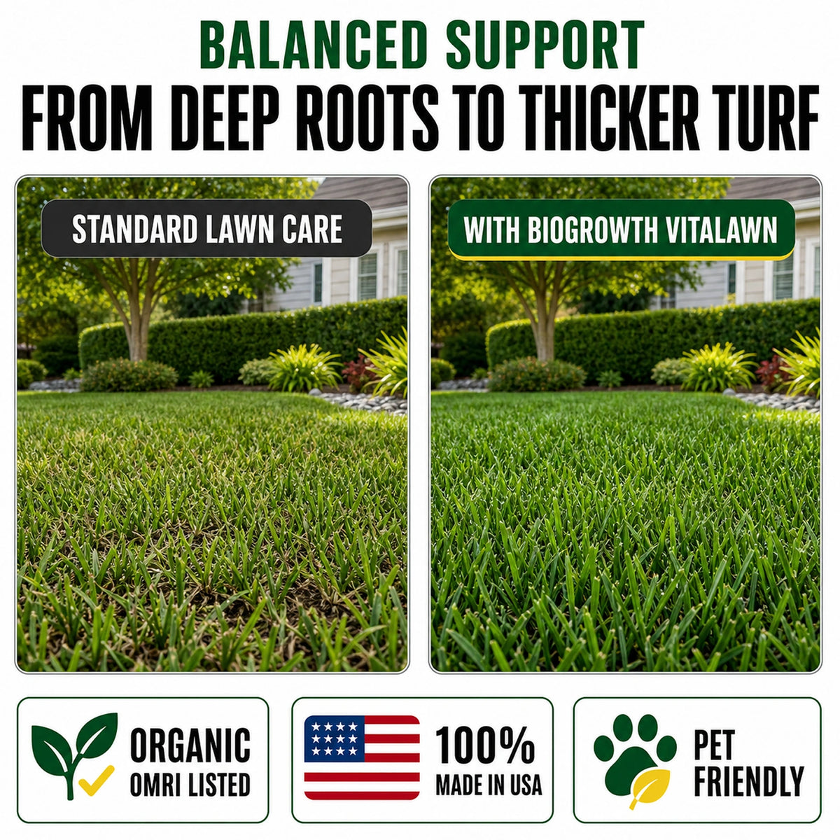 VitaLawn Liquid Organic Grass Food & Vitamin for Greener, Thicker Lawns - Biogrowth Organics