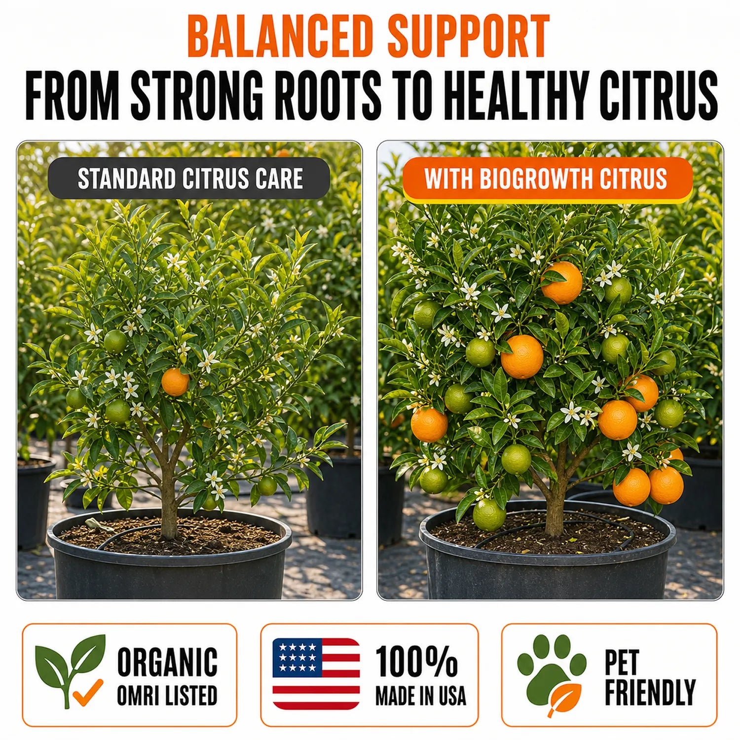 Citrus Liquid Organic Plant Vitamin for Lemon, Orange, Lime & Grapefruit Trees - Biogrowth Organics