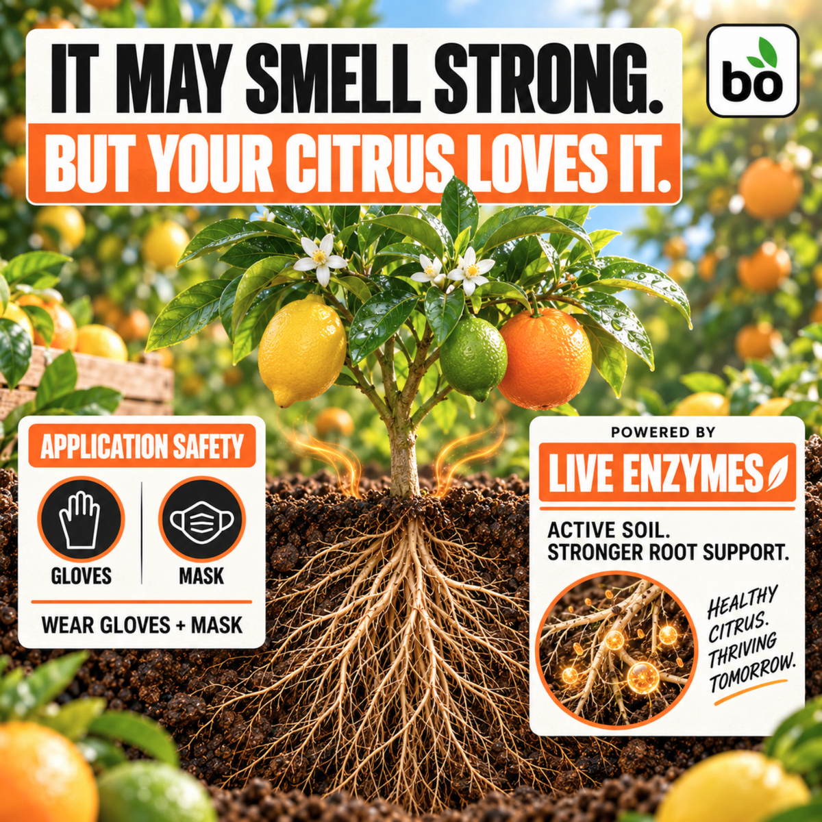 Citrus Liquid Organic Plant Vitamin for Lemon, Orange, Lime & Grapefruit Trees