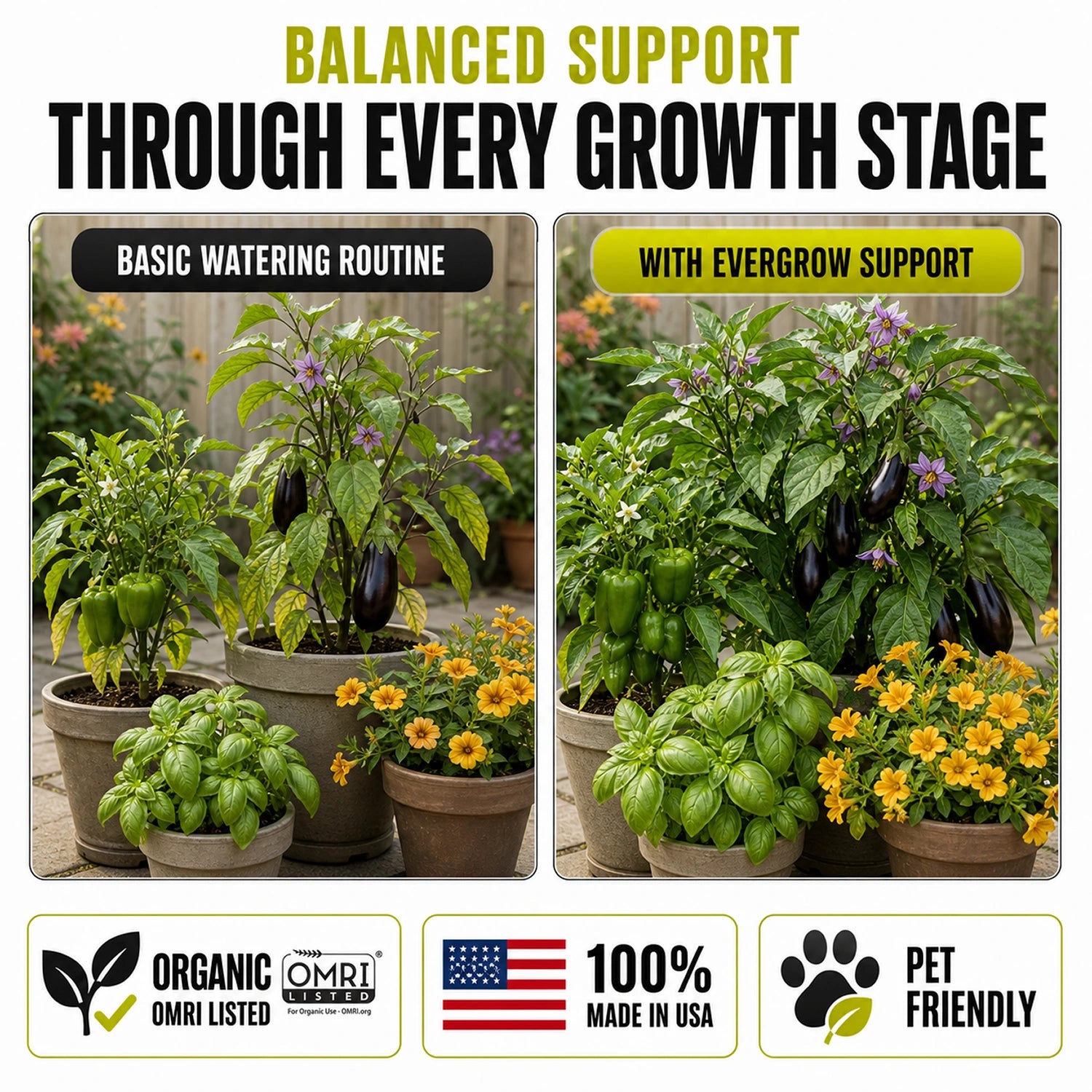 EverGrow Liquid Organic Plant Vitamin for Strong Roots & Flowers - Biogrowth Organics