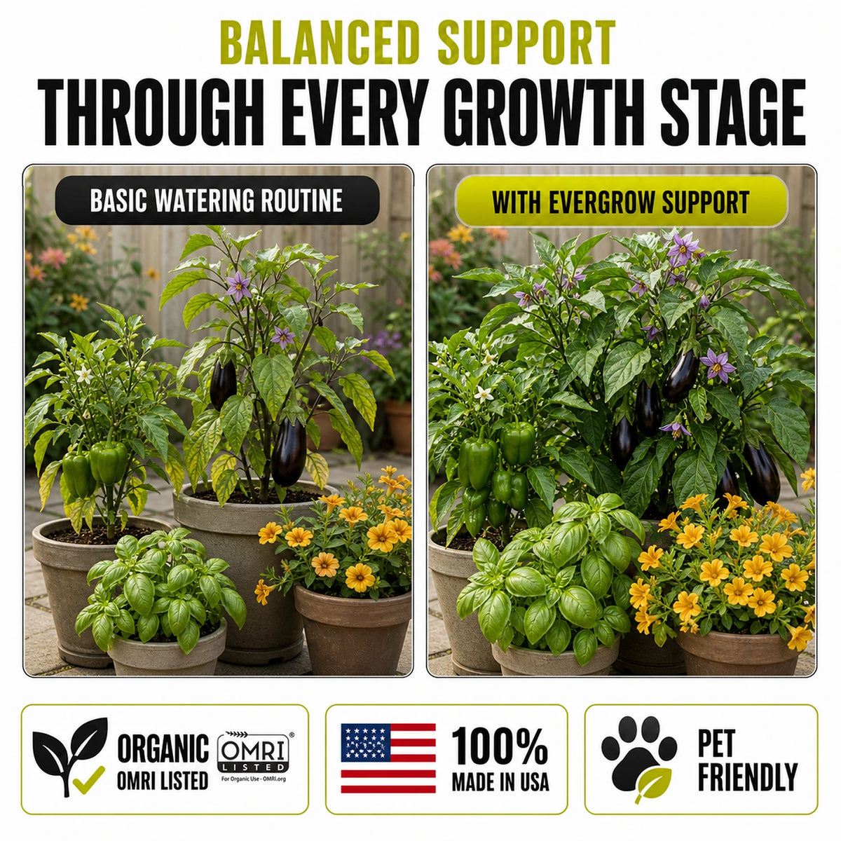 EverGrow Liquid Organic Plant Vitamin for Strong Roots & Flowers - Biogrowth Organics