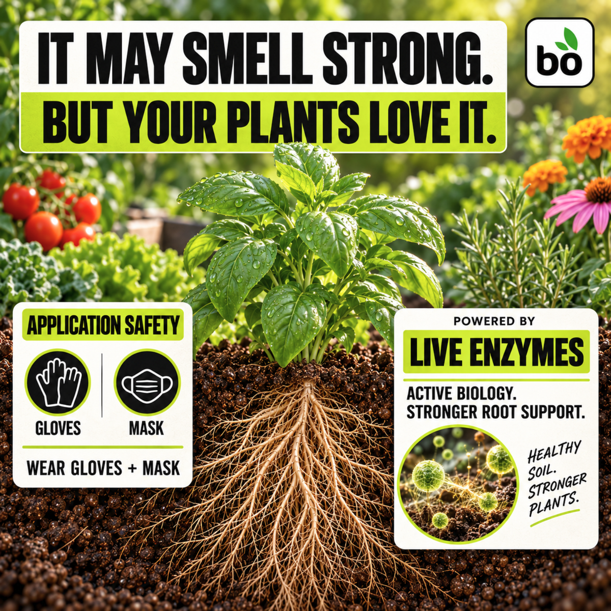 EverGrow Liquid Organic Plant Vitamin for Strong Roots & Flowers