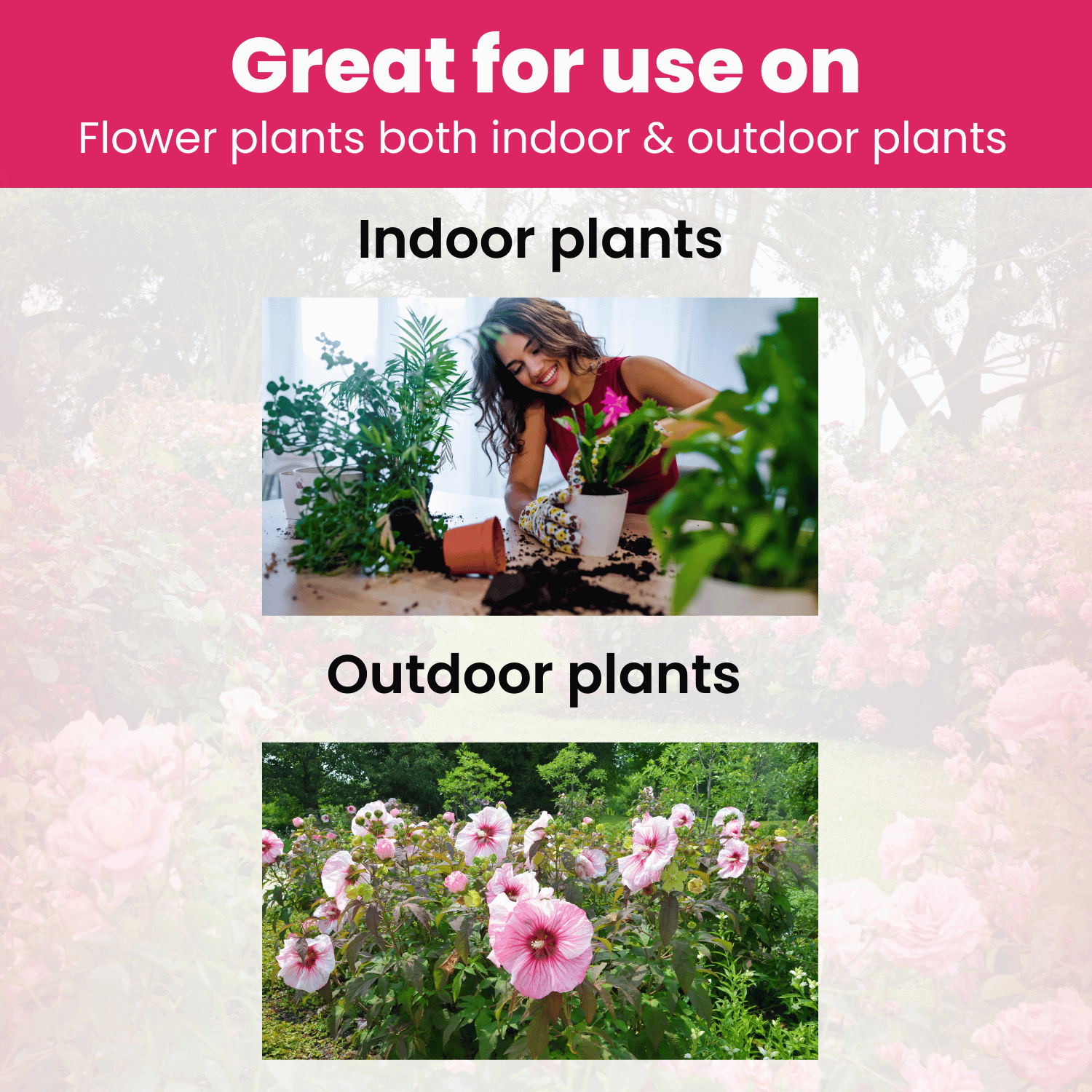 Vivid Liquid Organic Plant Vitamin for Flowers & Lawns