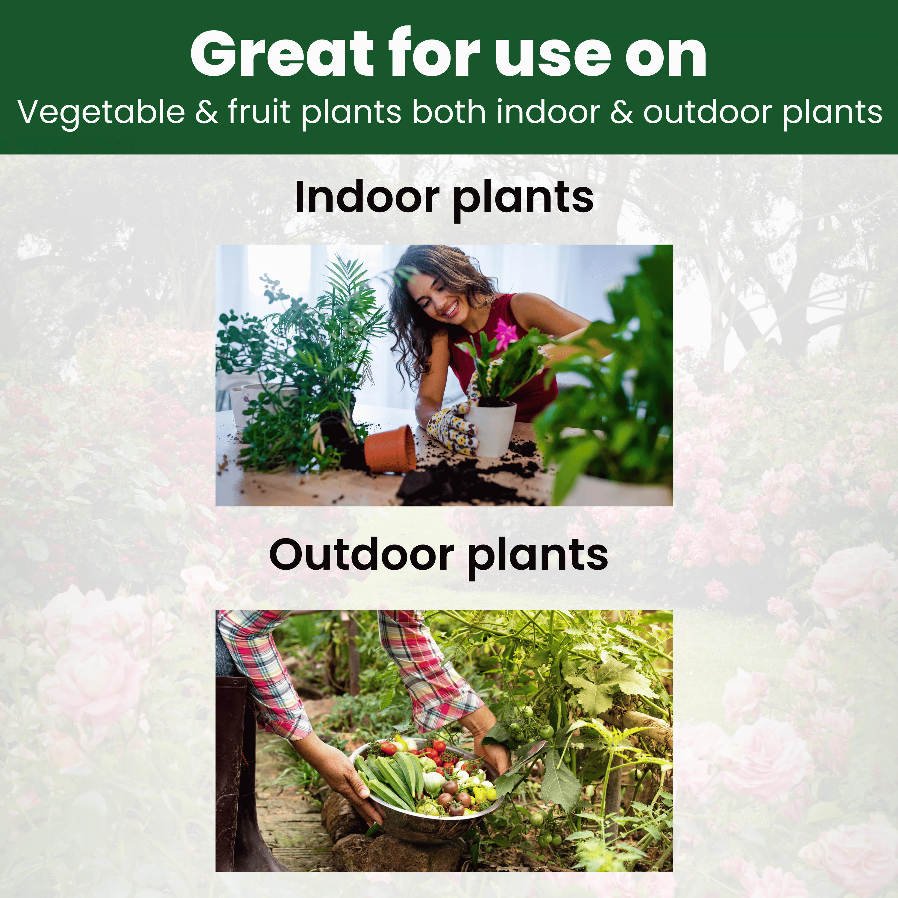 Catalyst Liquid Organic Plant Vitamin for Veggies & Fruits