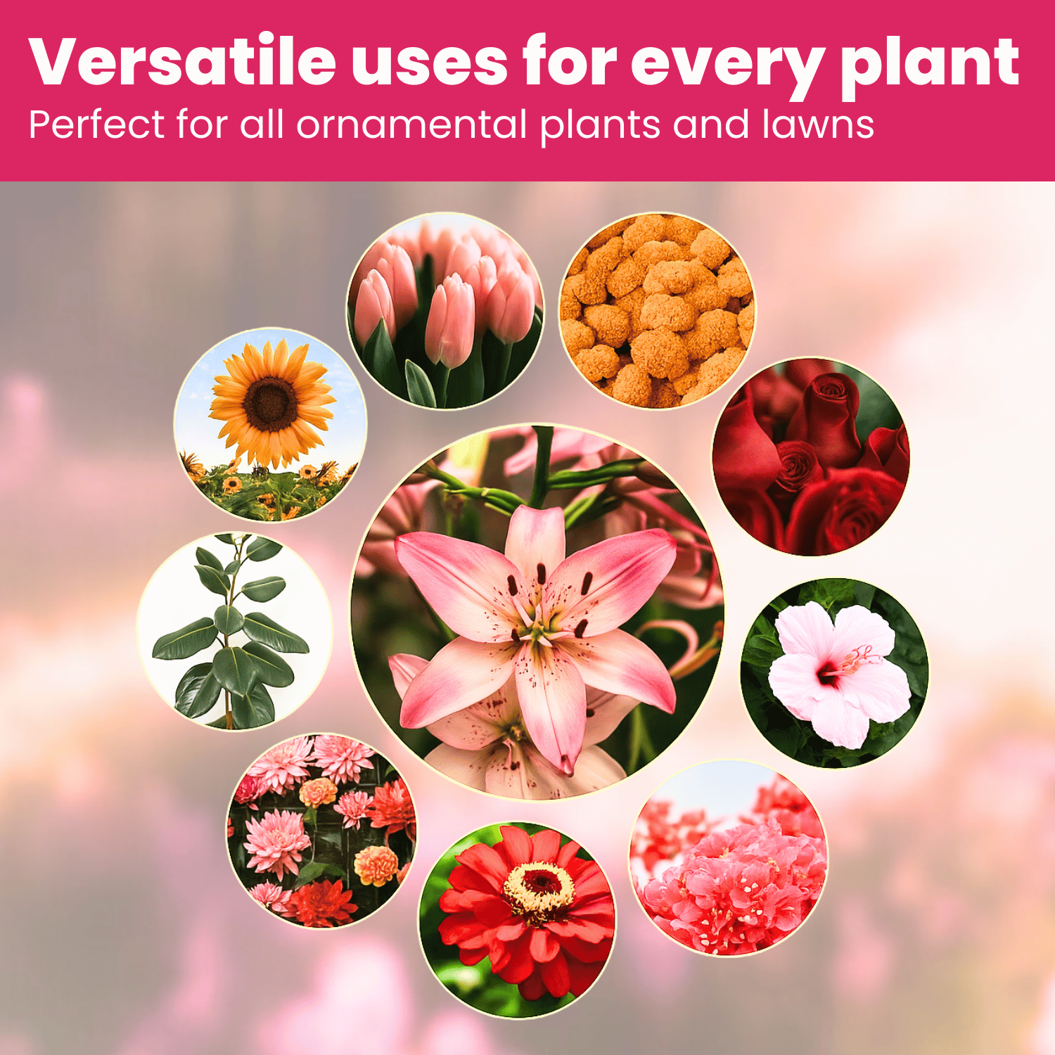 Vivid Liquid Organic Plant Vitamin for Flowers & Lawns