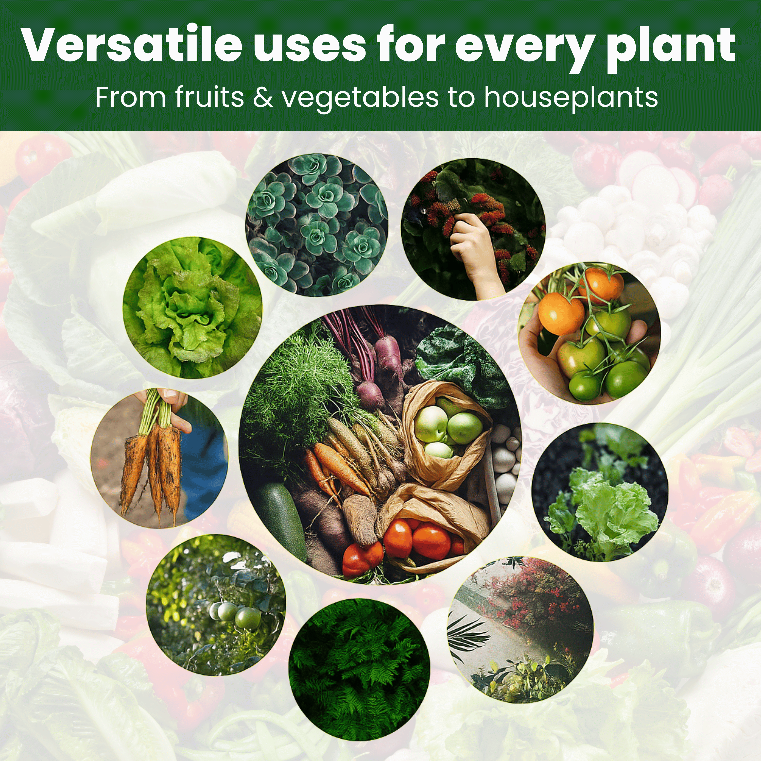 Catalyst Liquid Organic Plant Vitamin for Veggies & Fruits