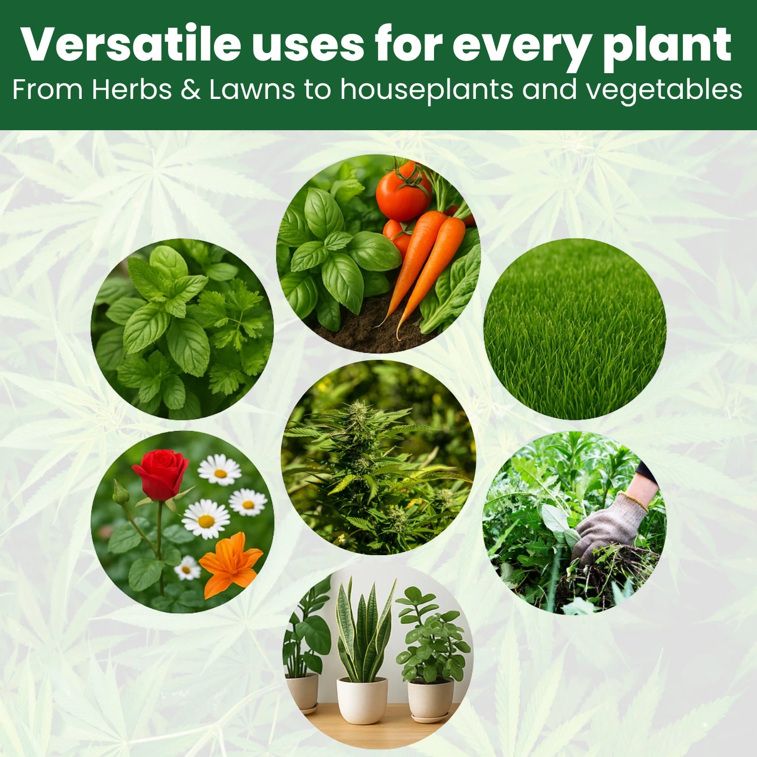 Thrive Liquid Organic Plant Vitamin for Cannabis