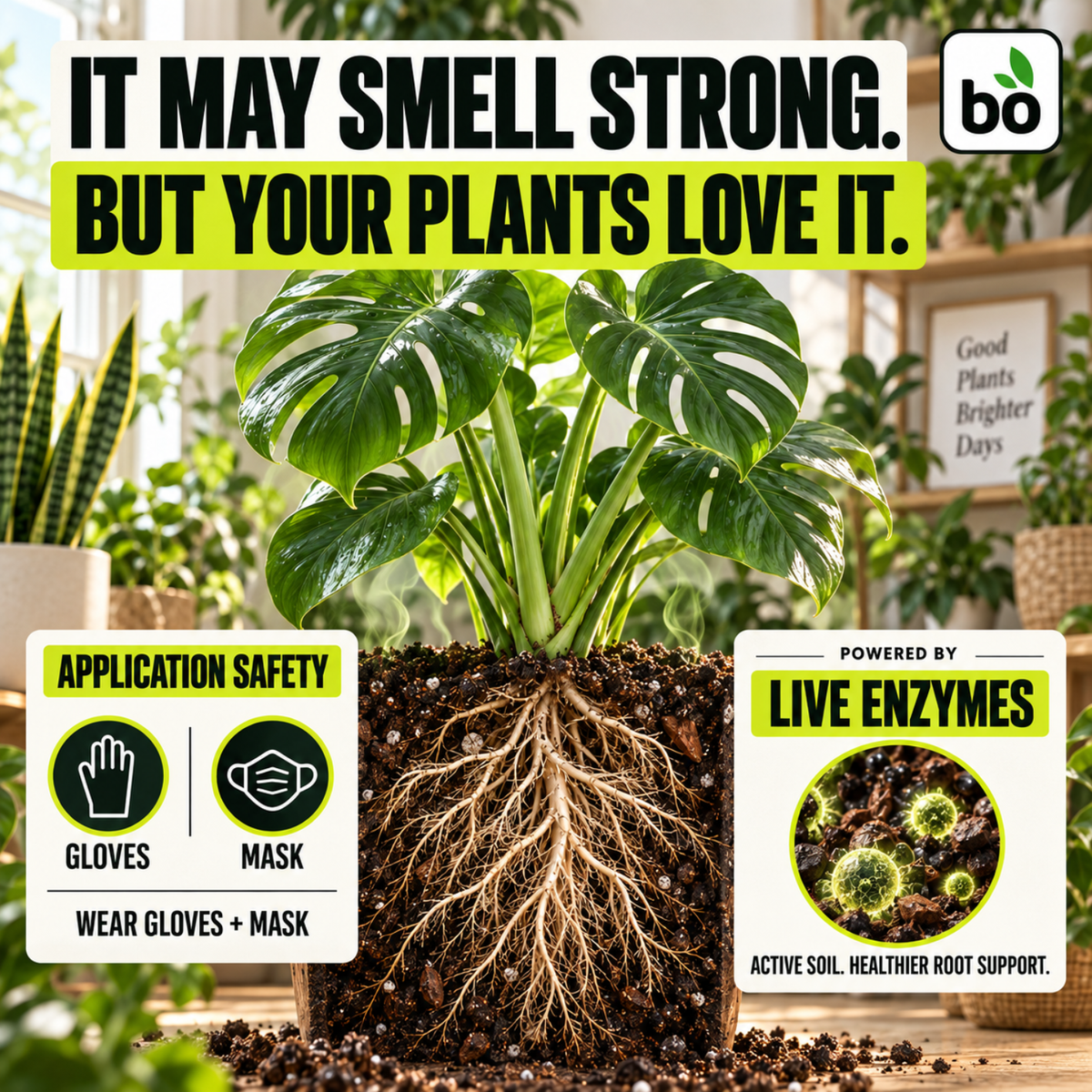 Biogrowth Plantara Organic Plant Food & Fertilizer for Indoor & Tropical Plants