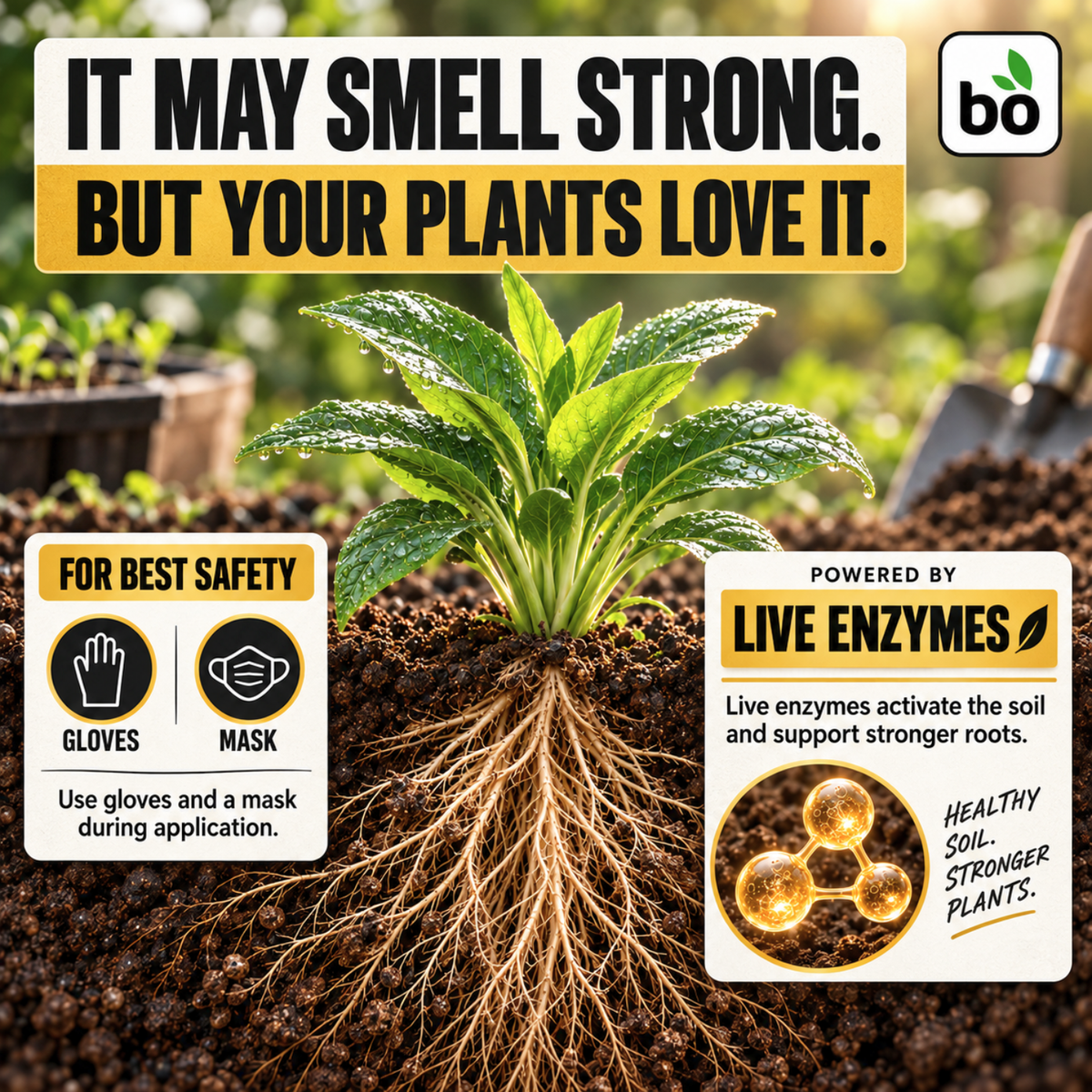 Revitalize Liquid Organic Soil Rejuvenator for Seed Starting & Transplanting