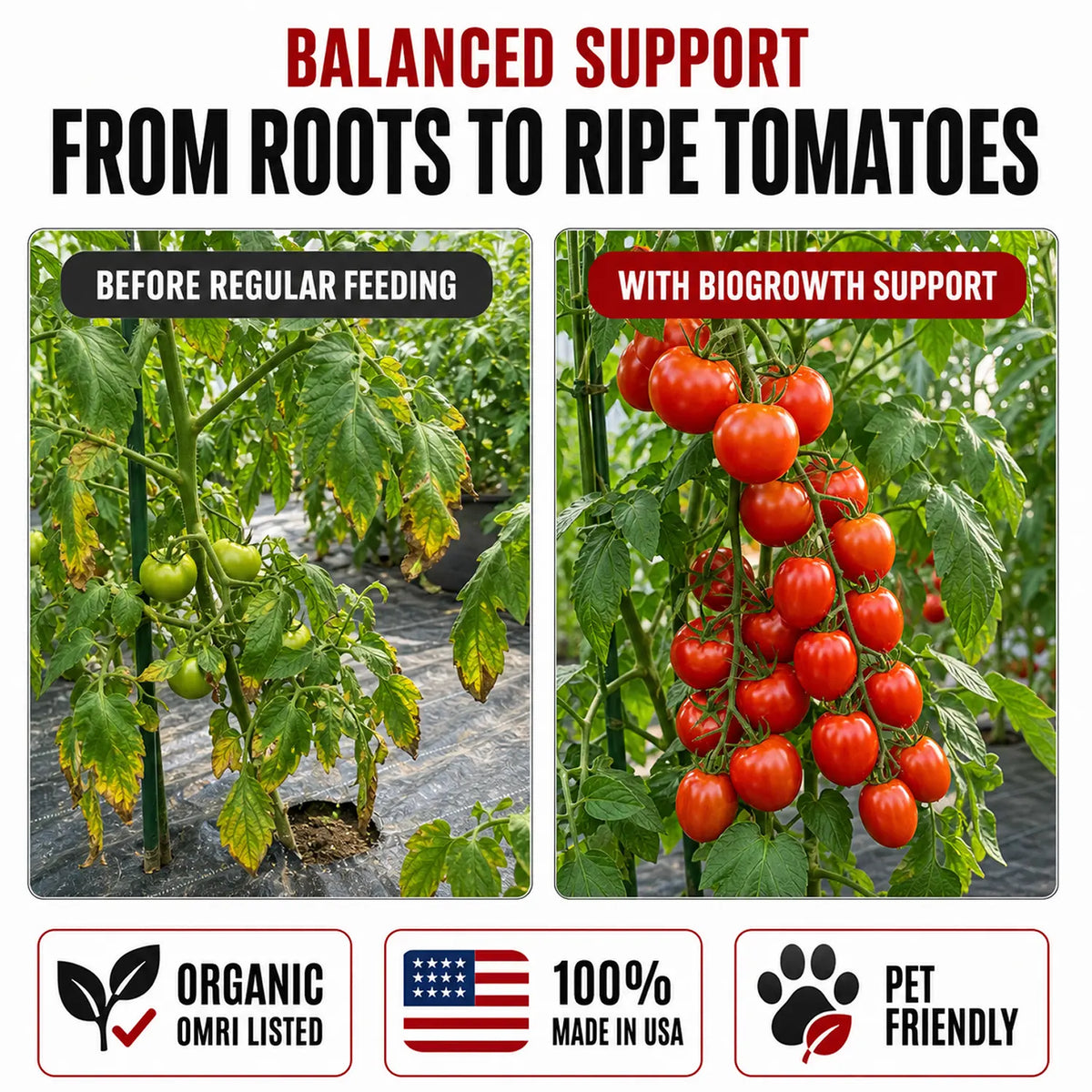 Super Tomato Liquid Organic Plant Vitamin for Heavy Yields & Stronger Vines - Biogrowth Organics