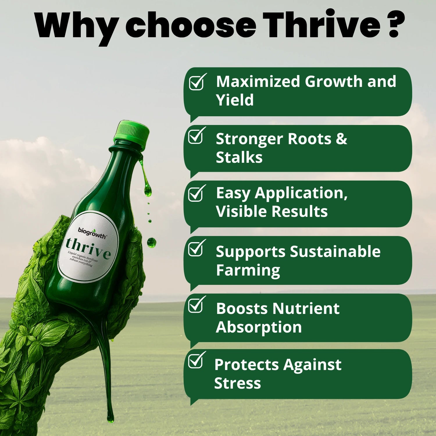 thrive plant fertilizer Thrive Organic Cannabis Vitamin for Bigger Yields – Biogrowth Organics