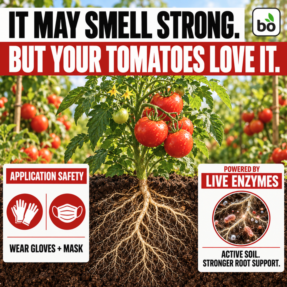 Super Tomato Liquid Organic Plant Vitamin for Heavy Yields & Stronger Vines
