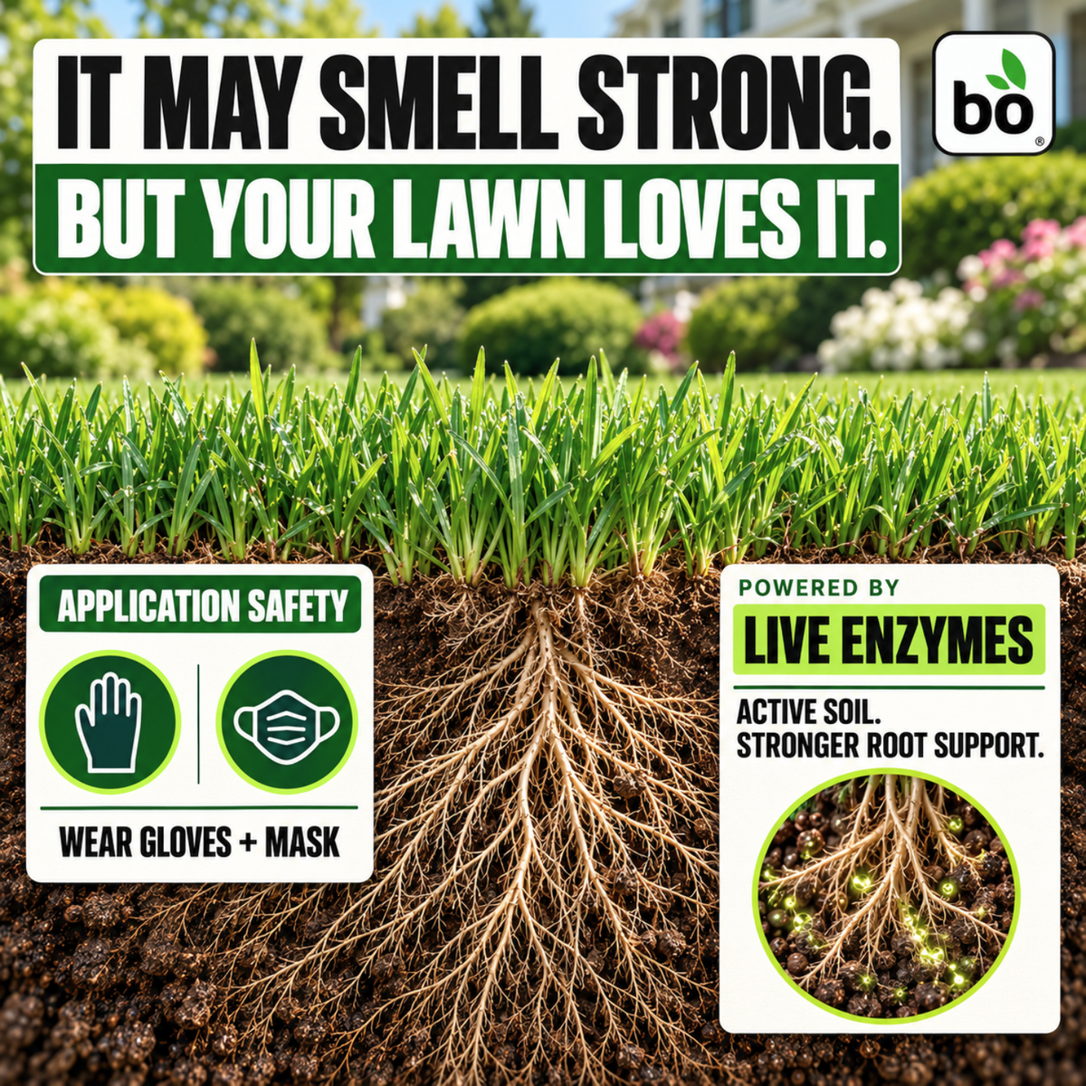 VitaLawn Liquid Organic Grass Food & Vitamin for Greener, Thicker Lawns