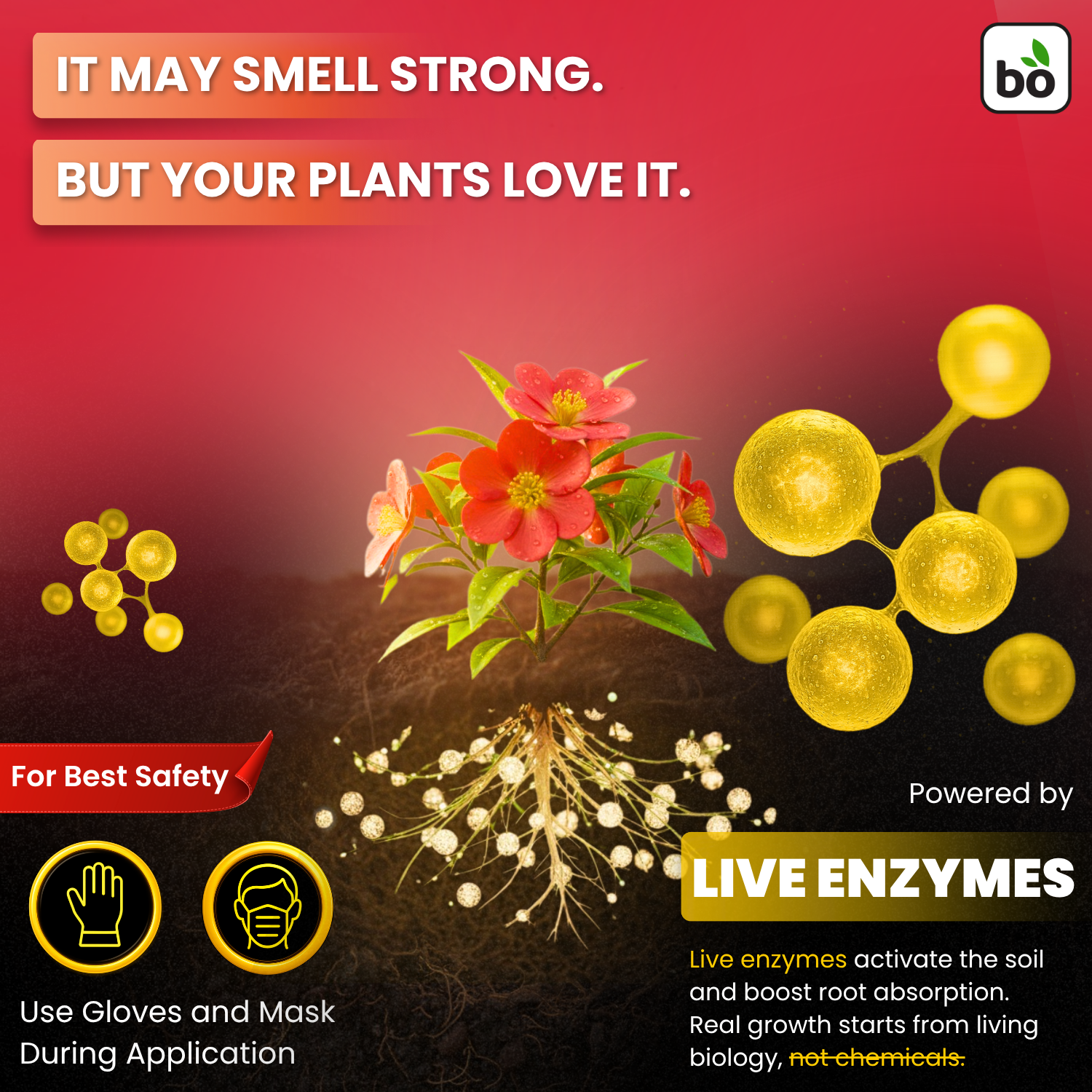 Vivid Liquid Organic Plant Vitamin for Flowers & Lawns